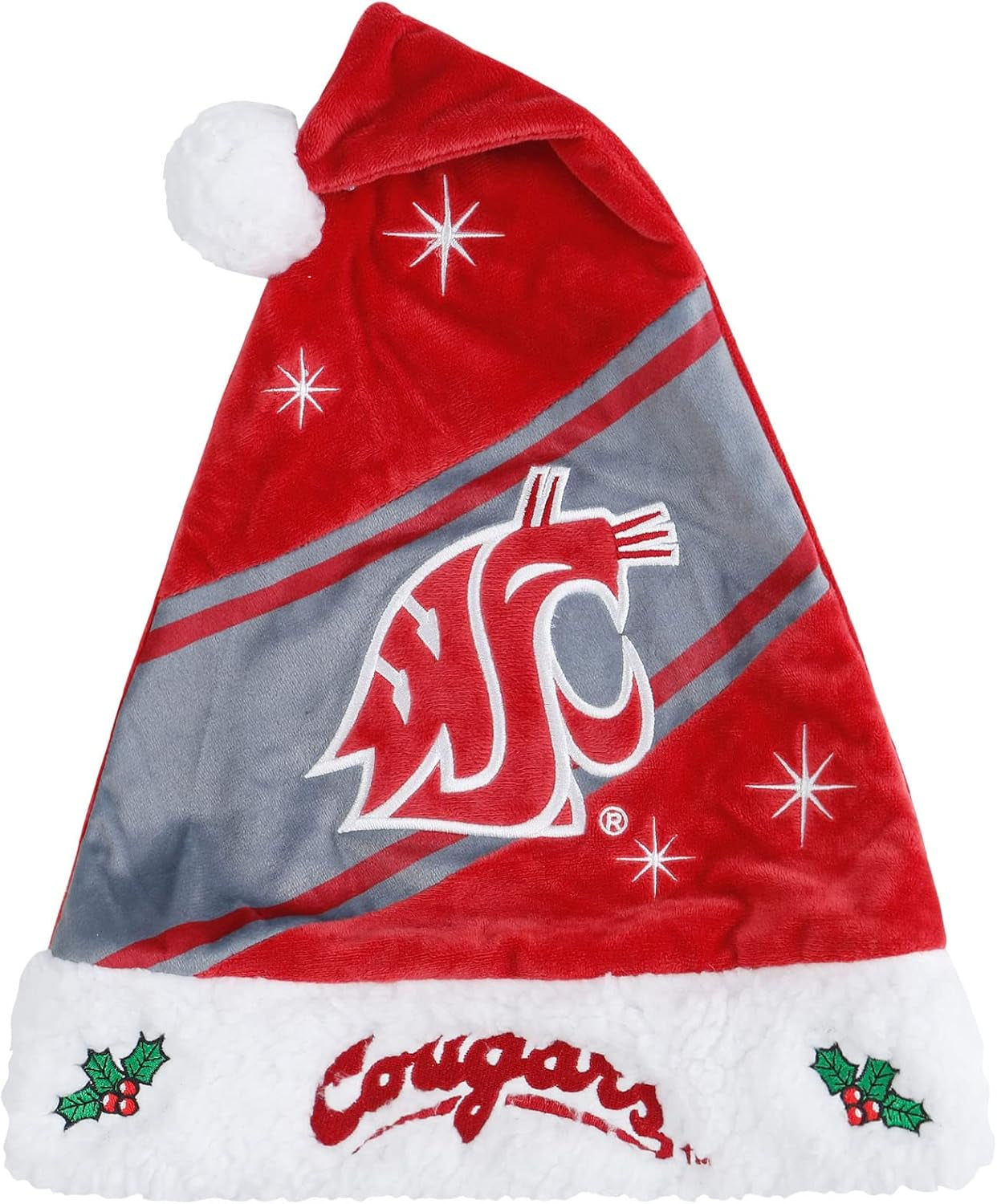 FOCO NCAA Team Logo High End Holiday Santa Cap Hat