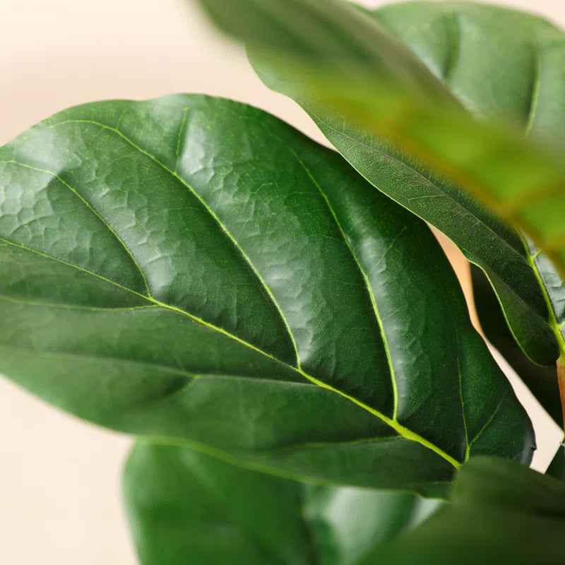 Adarna Fiddle Leaf Fig Tree - Realistic Potted Artificial Plant with Natural Trunk