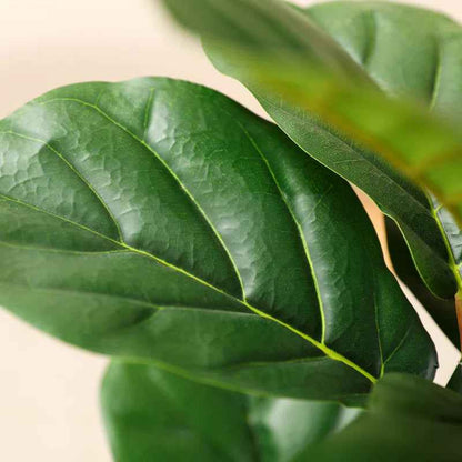 Adarna Fiddle Leaf Fig Tree - Realistic Potted Artificial Plant with Natural Trunk